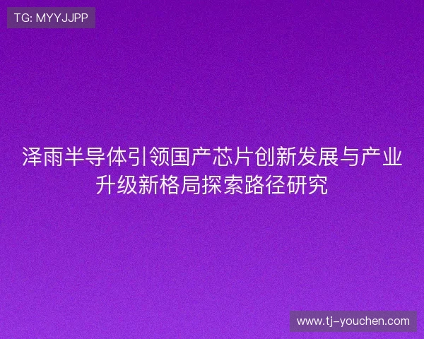 泽雨半导体引领国产芯片创新发展与产业升级新格局探索路径研究